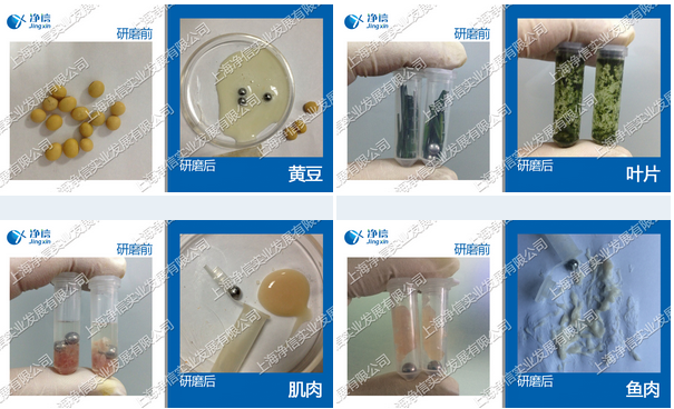 液氮研磨机样品研磨效果图