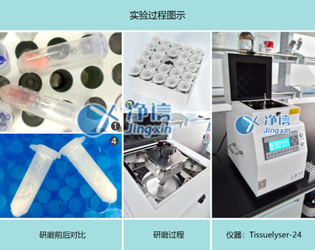 全自动样品快速研磨仪研磨过程